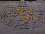 HOW TO PERFORM COWRIE DIVINATION