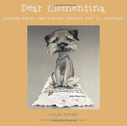 dear clementina letters from one border terrier pup to another