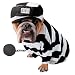 Pet Supplies : Zelda - Prisoner Pet Costume - M