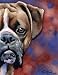 "Boxer" Dog Art Print Signed by Artist DJ Rogers
