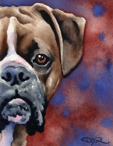 Boxer Dog Art Print Signed by Artist DJ Rogers