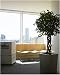 10x8 Photograph (25x20cm) Office life and Interiors Part Two by Arcaid