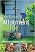 Essential Allotment Guide: How to Get the Best Out of Your Plot