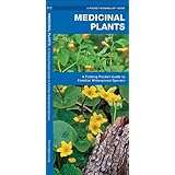 Medicinal Plants: A Folding Pocket Guide to Familiar Widespread Species (Pocket Naturalist Guide Series)