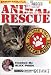 Animal Rescue, Vol. 2: Best Cat Rescues