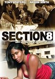Section 8