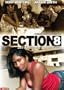 Section 8