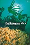 The underwater world of Northumberland and Berwickshire