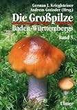 Die Gro&szlig;pilze Baden-W&uuml;rttembergs 5: St&auml;nderpilze: Bl&auml;tterpilze III - German J. Krieglsteiner, Andreas Gminder