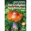 Die Gro�pilze Baden-W�rttembergs 5: St�nderpilze: Bl�tterpilze III