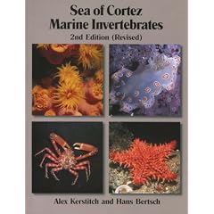 Sea of Cortez Marine Invertebrates - 2nd Edition (Revised)