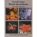 Sea of Cortez Marine Invertebrates - 2nd Edition (Revised)