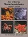 Sea of Cortez Marine Invertebrates - 2nd Edition (Revised)