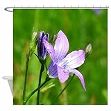 Shower Curtain Waterproof Polyester Fabric with Hooks for Home Decor (66x72inch) Dear Xie Purple Morning Glory Design In