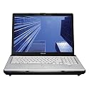 Toshiba Satellite X205-S9800 17-inch Laptop (Intel Core 2 Duo T5550 Processor, 2 GB RAM, 250 GB Hard Drive, Vista Premium)