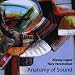 Yury Yaremchuk And Alexey Lapin-Anatomy of Sound