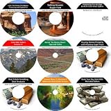 The Radical 9 CD No Money Down, Millionaire Making Real Estate Mentoring System