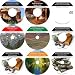 The Radical 9 CD No Money Down, Millionaire Making Real Estate Mentoring System