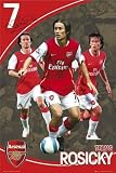 Posters: Soccer Poster - Arsenal, Tomá? Rosický 07/08 (36 x 24 inches)