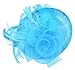 AM CLOTHES Womens Feather and Mesh Fascinator Headwear
