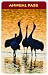 Search : America the Beautiful - the National Parks and Federal Recreational Lands Annual Pass