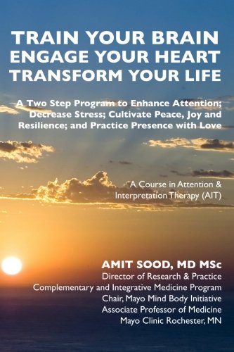 Train Your Brain....Engage Your Heart....Transform Your Life: A Course in Attention & Interpretation Therapy (AIT)