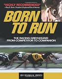The Born to Run: Racing Greyhound, from Competitor to Companion