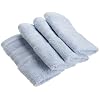 1888 Mills 100-Percent Organic Cotton Oversized Washcloth Set of 4, Water Blue