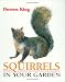Squirrels in Your Garden