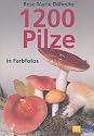 1200 Pilze