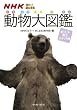NHK�͂�[!���ɂ܂� ������}�Ӂ\�ٓ��� ��k�A�����J��