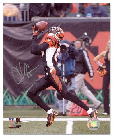 Chad Johnson Cincinnati Bengals Autographed 8x10 Photograph