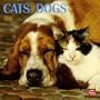 Cats & Dogs 2010 Square Wall (Multilingual Edition)