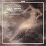 Richard Wetz: Violin Concerto
