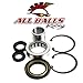 All Balls Inner Primary Bearing And 25-3101