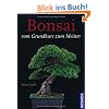 Bonsai: Vom Grundkurs zum Meister
