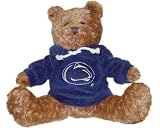 NCAA Penn State Nittany Lions Hoodie Bear