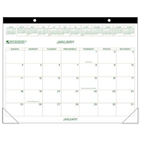 At-A-Glance Two-Color Monthly Desk Pad/Wall Calendar, 2010 Edition, 22 x 17 Inches, White (GG2500-00)