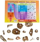 American Educational 3005B Fossil Starter Bag