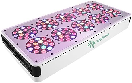 Master 420 Grower, Substitute HPS/MH 1000 Watt, 12 Bands High Yield Professional Hydroponic Marijuana LED Grow Light, High THC/CBD Full Spectrum Veg/Bloom