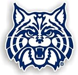Arizona Wildcats Car Magnets (Set of 2)