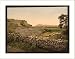 Amphitheatre of Tusculum Rome Italy, c. 1890s, (S) Library Image