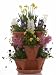 Mini-Garden Stacker- Stackable / Hangable Self-Watering All Season Planter - Indoor / Outdoor Stacking Flower Pot - Great For Growing Flowers, Herbs, Plants. Grow Strawberries, Cherry Tomatoes, Indoor Gardening & More. Great Gift Idea For A Gardener. Available in Several Colors. Includes Hanging Chain. Fits In Any Windowsill, Patio, Deck, Garden or Countertop. Buy More Than One To Stack Higher Than Pictured.