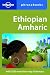 Ethiopian Amharic Phrasebook by Tilahun Kebebe ISBN 1740596455