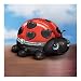 Daughter Ladybug Heirloom Porcelain Limoges-Style Music Box: Cute As A Bug by The Bradford Exchange Daughter Ladybug Heirloom Porcelain Limoges-Style Music Box: Cute As A Bug by The Bradford Exchange