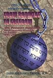 Hagadah shel Pesaḥ : mi-shiʿbud la-geʾulah = From bondage to freedom : the Passover Haggadah : with a commentary illuminating the liberation of the spirit