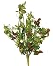 Extra Large Grapevine Artificial Greenery [OA1c 6337]