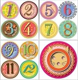 Picky Sticky Baby Photo Monthly Onesie Stickers (Girly Girl)