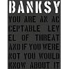 Banksy.: You Are an Acceptable Level of Threat