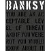 Banksy: You Are an Acceptable Level of Threat and if You Were Not You Would Know About It